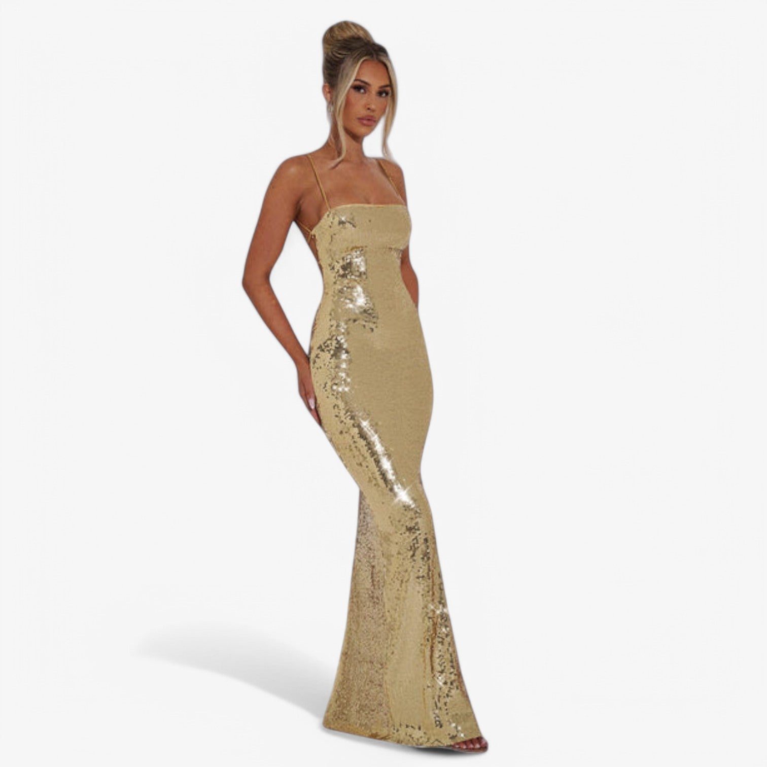 RALEIGH MAXI DRESS