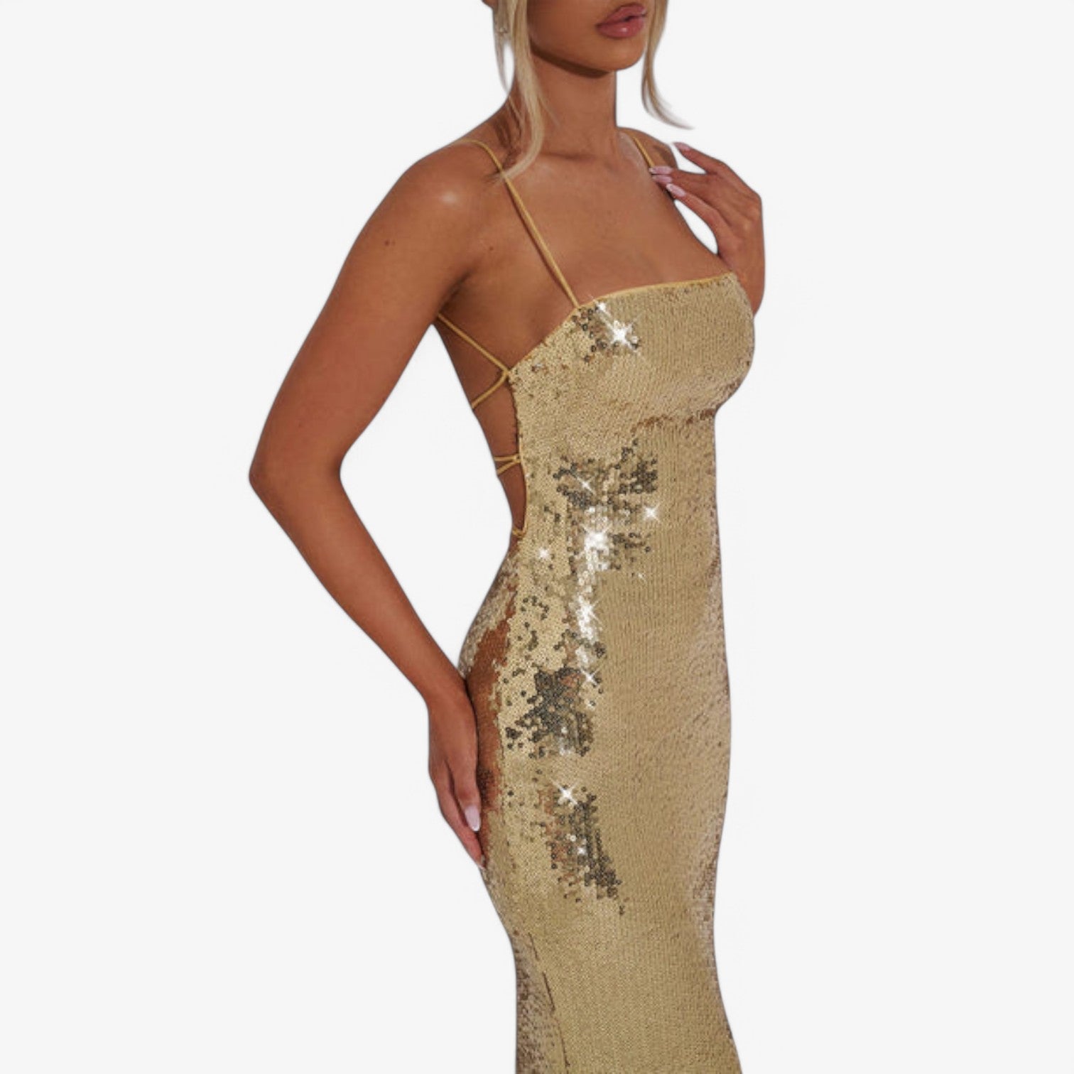 RALEIGH MAXI DRESS